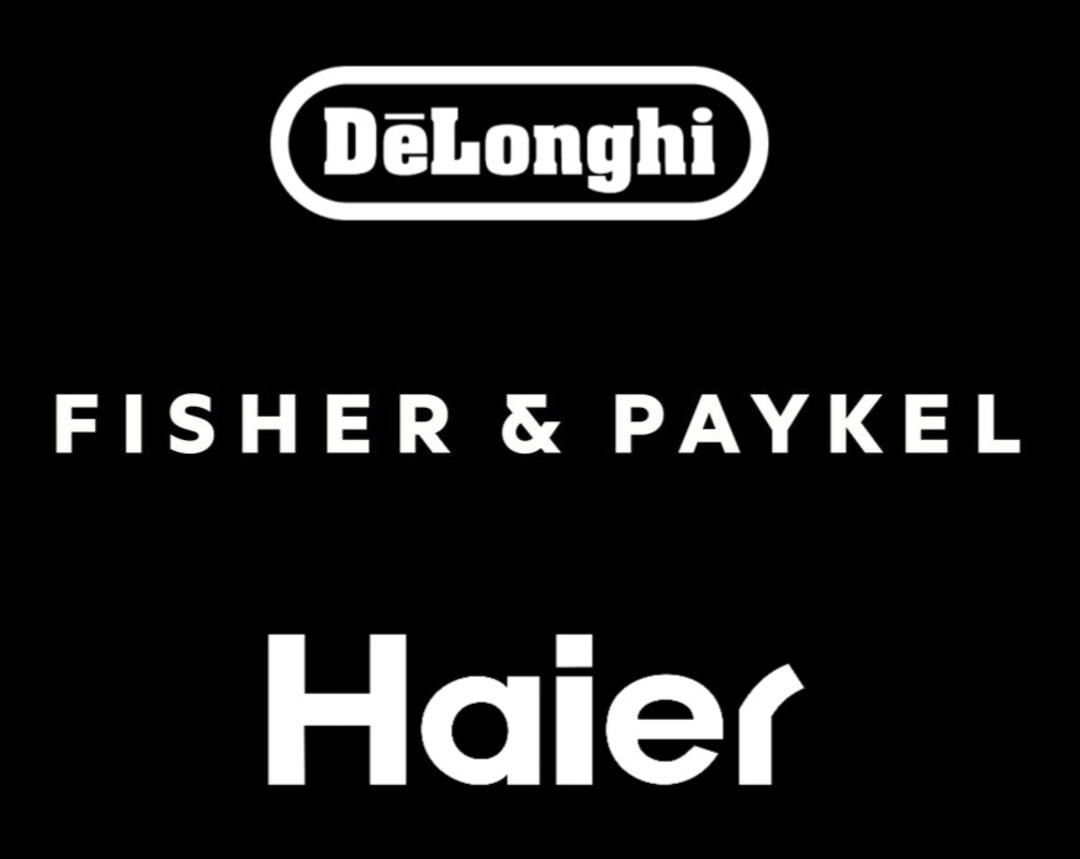 Fisher & Paykel - Delonghi - Haier - LID HCF105 2 HINGE - H0070815945 image 0